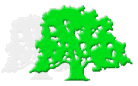 Genesis Logo
