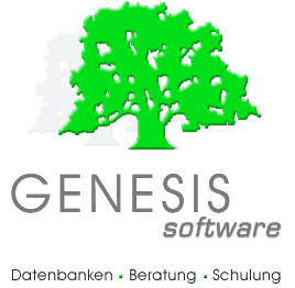 Access Datenbank Software Programmierung Design